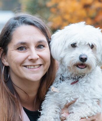 Verwaltungsangestellte