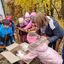 Eine Schülerin holt einen Igel aus einem Karton