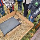 Ein Igel wurde in eine Holzkiste mit Stroh und Igelhaus gesetzt